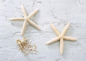 全室DAMを完備！カラオケビッグエコーの魅力と店舗情報完全ガイド