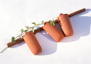 ガチャガチャの森：多彩なガチャ商品と楽しい体験ができる人気店舗