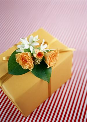 ガチャガチャの森：多彩な商品と楽しい体験を提供する人気店舗