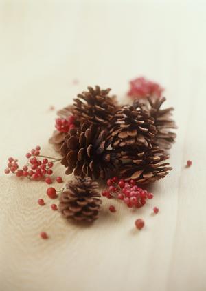 インターネットのSNSでバッジの口コミ